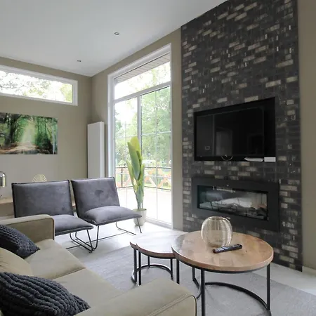 Modern With Decorative Fireplace Holiday home *